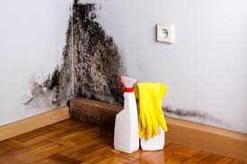 Best Commercial Mold Inspection in USA